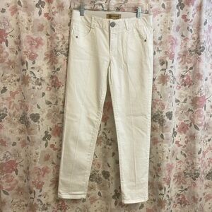 NEVER WORN! Democracy “Ab” Solution Skinny Jean - Size 4 - White